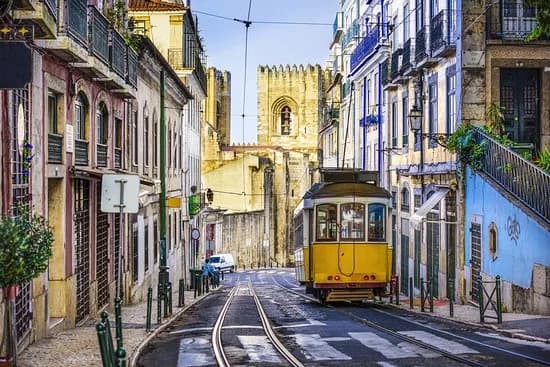 Portuguese Language Classes at Lime Academy